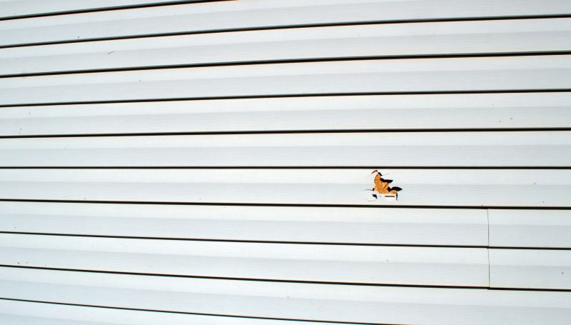 Inspection and Repair