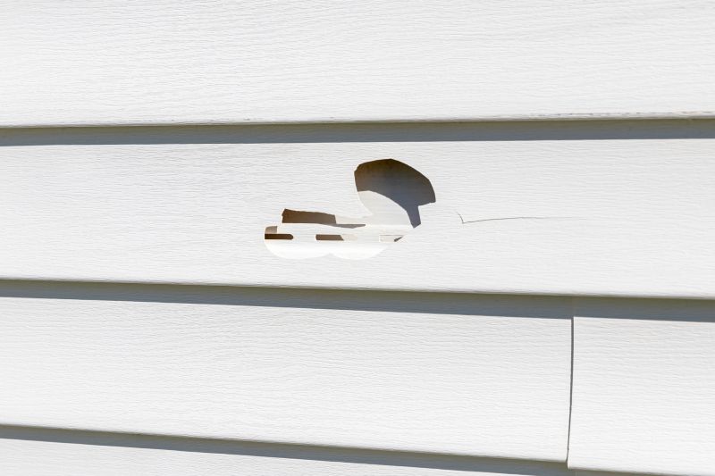 Vinyl Siding Repair - Panel Removal
